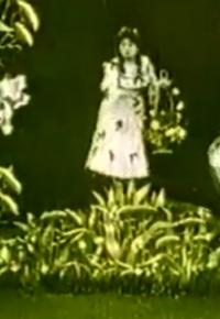 Тюльпаны смотреть онлайн бесплатно в хорошем качестве